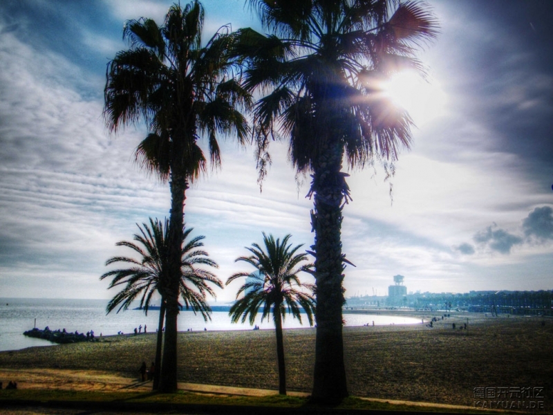 巴塞罗那_地中海的阳光和沙滩
