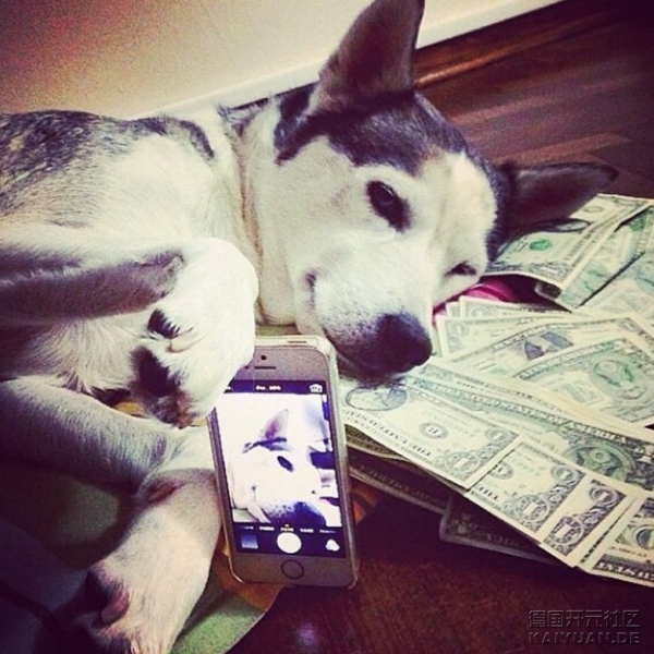 rich_dogs_of_instagram_11.jpg