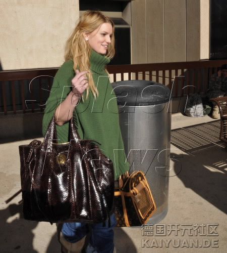 jessica-simpson-with-her-gucci-hysteria-tote-lv-dog-carrier.jpg