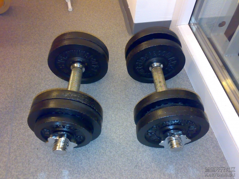 30欧出售30公斤哑铃一对(之前写错了)