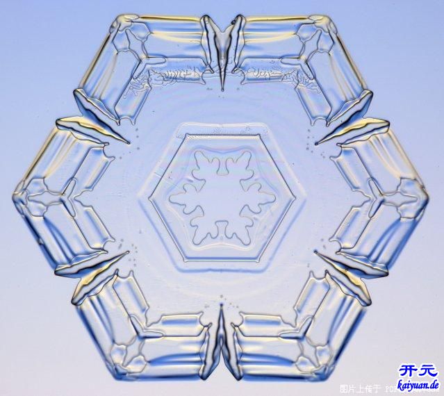 显微镜下的雪花